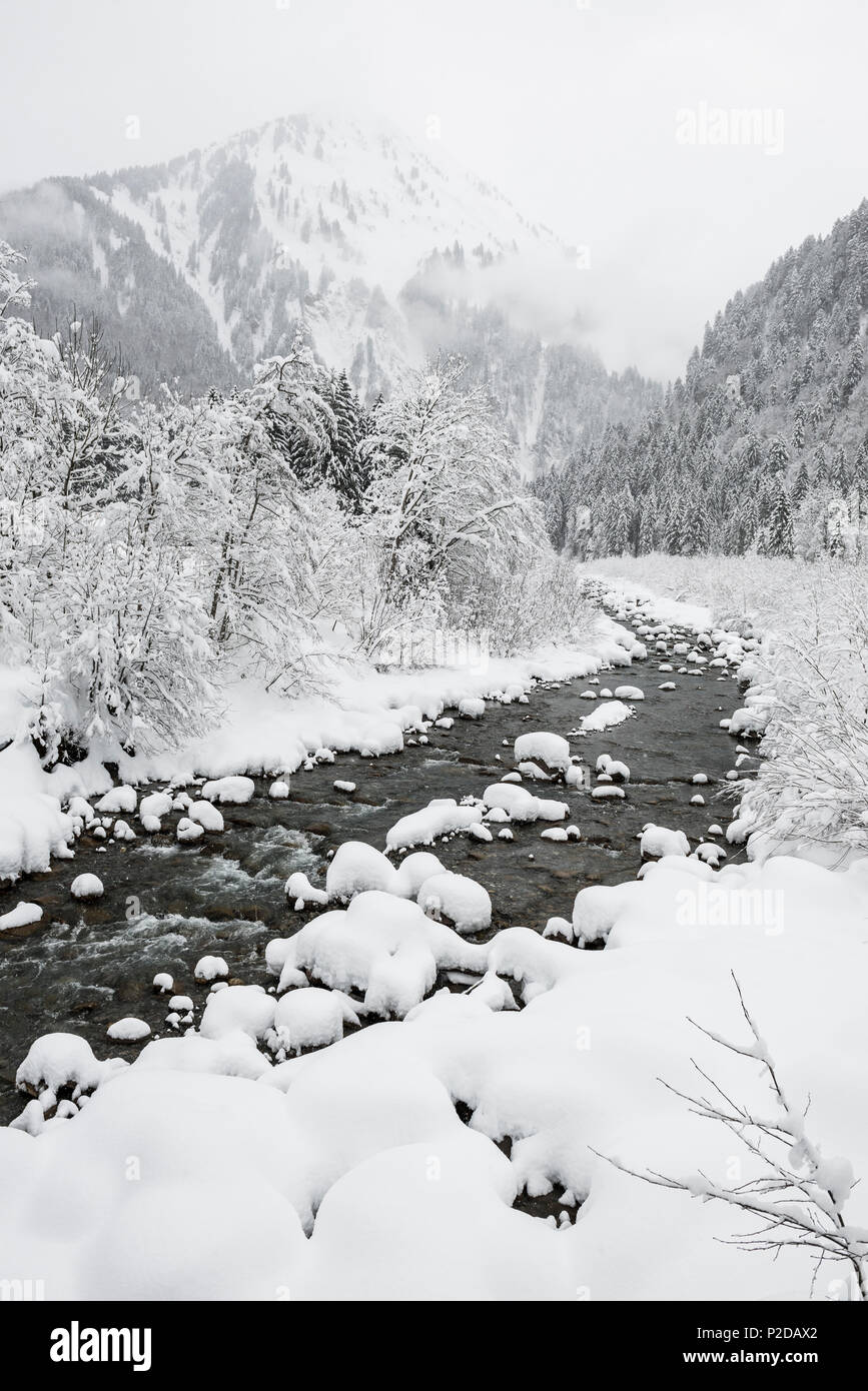 snow covered streambed near Schoppernau, Bregenz district, Vorarlberg, Austria Stock Photo