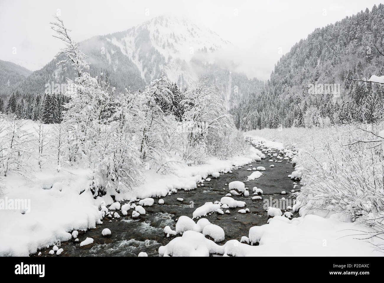 snow covered streambed near Schoppernau, Bregenz district, Vorarlberg, Austria Stock Photo