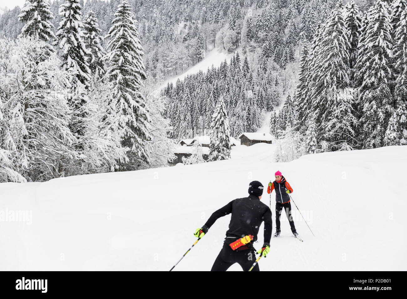 cross-country skier, near Schoppernau, Bregenz district, Vorarlberg, Austria Stock Photo