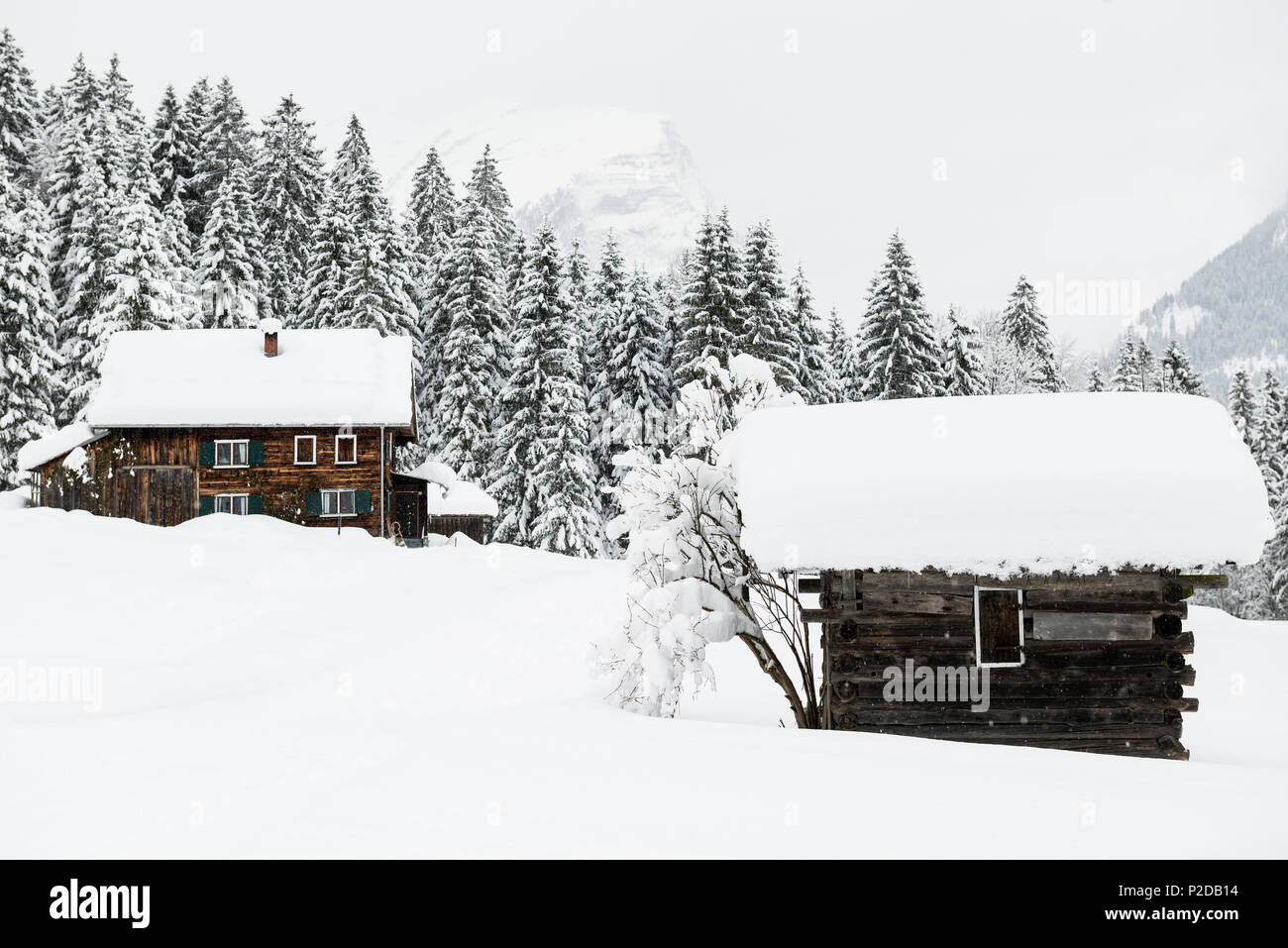 snow covered cabins, near Schoppernau, Bregenz district, Vorarlberg, Austria Stock Photo