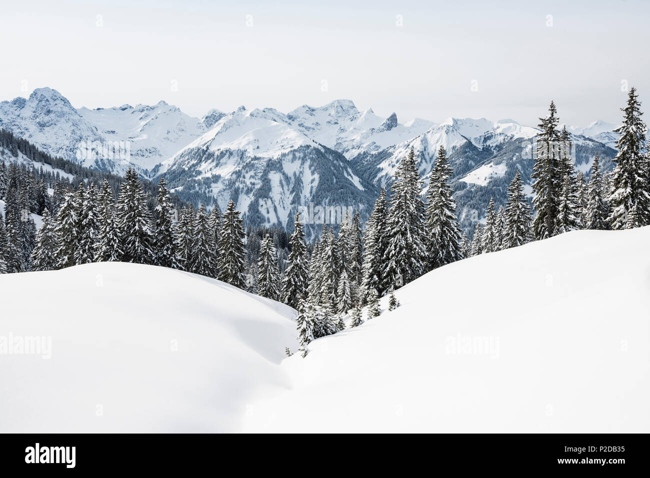 Diadamskopf ski area, near Schoppernau, Bregenz district, Vorarlberg, Austria Stock Photo