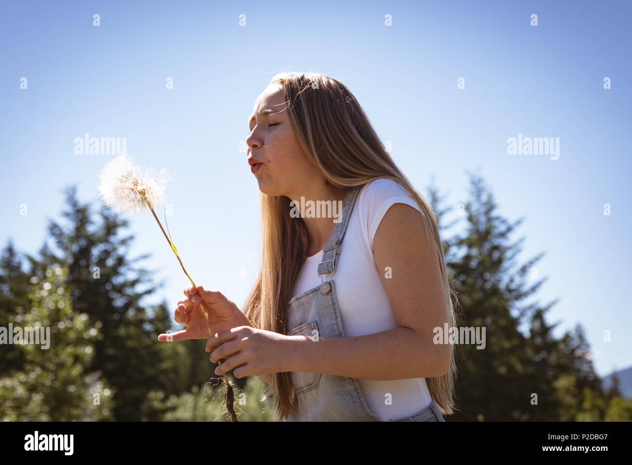 Beautiful girl hair blowing in hi-res stock photography and images - Alamy