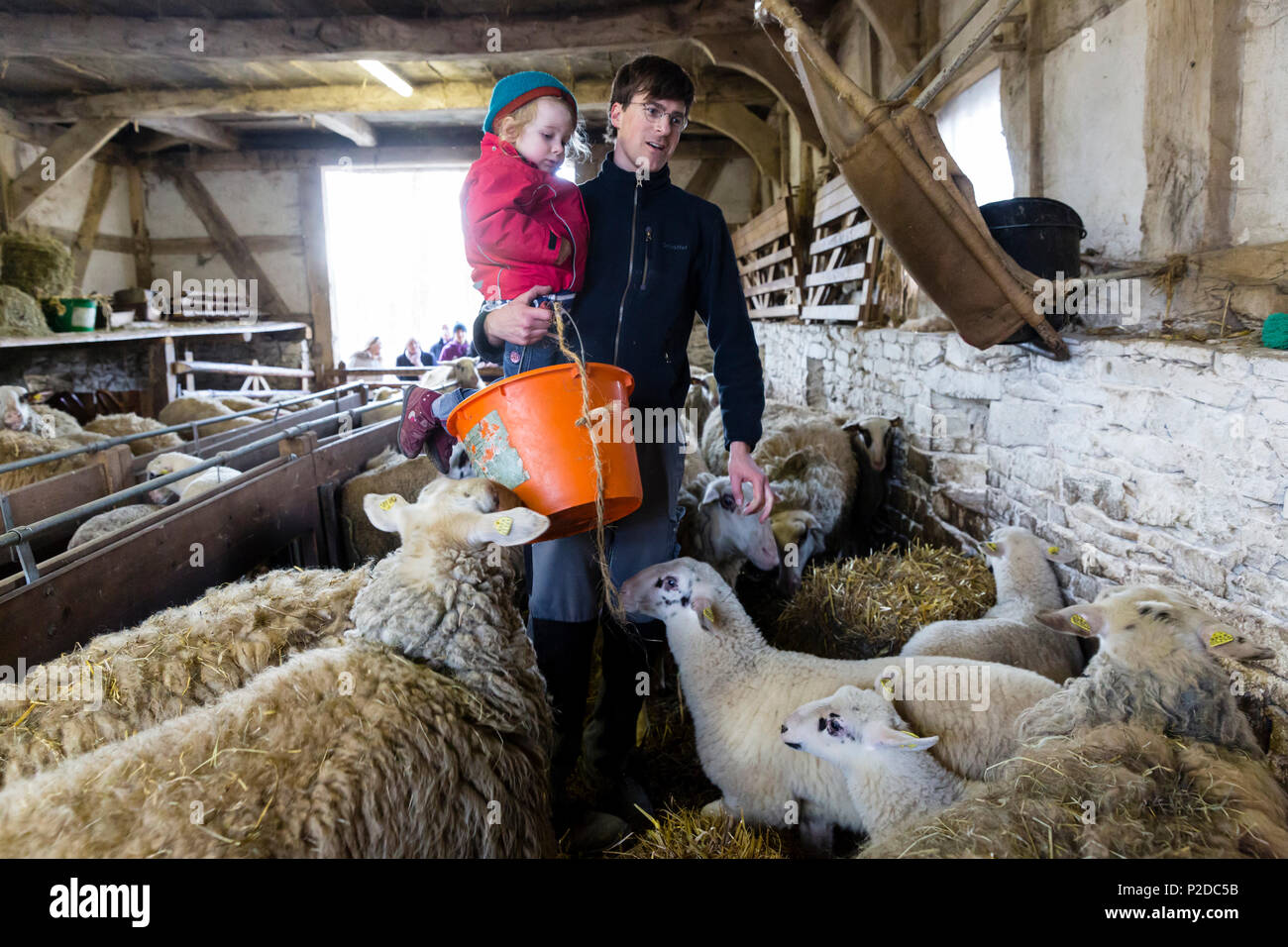 LWL-Open-Air Museum Detmold, farmer with little girl on his arm, feeding the sheep, stable, traditional buildings, Detmold, Nort Stock Photo