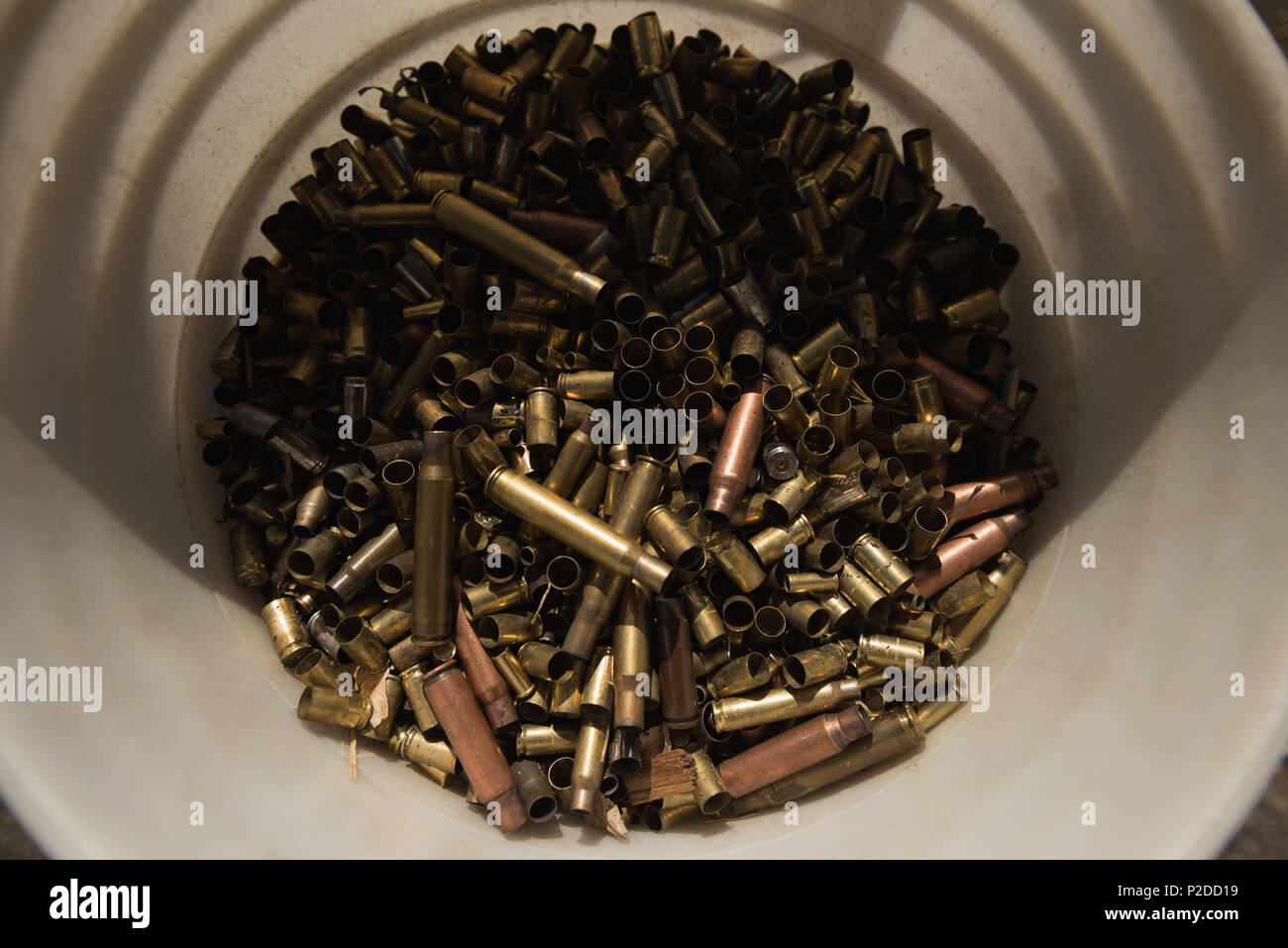 For shelling hi-res stock photography and images - Alamy