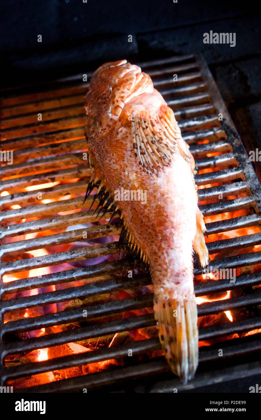 Coco beach nice hires stock photography and images Alamy