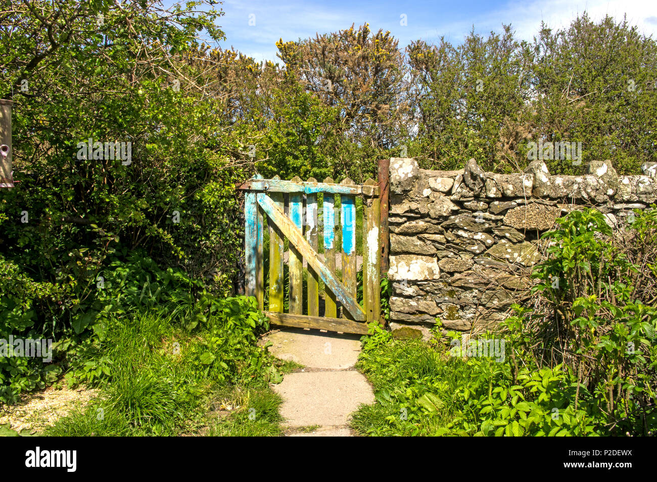 An old wooden gate to a rural garden garden Stock Photo