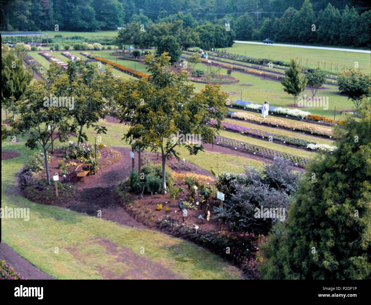 . Overhead view of gardens at Park Seed Company national headquarters in Greenwood, SC . created 2000s. Park Seed Company staff photographer 40 Park Seed Trials Overview V02 Stock Photo