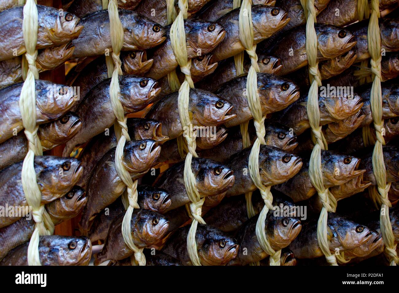 South Korea, Seoul, dried fish market Stock Photo Alamy