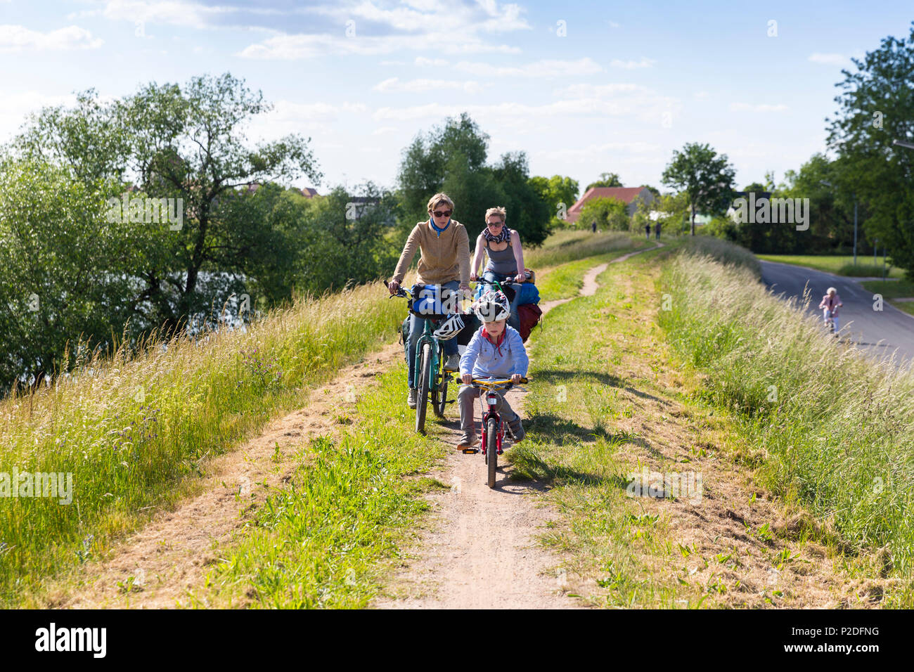 Family bicycle tour along the river Elbe, adventure, from Torgau to Riesa, Saxony, Germany, Europe Stock Photo