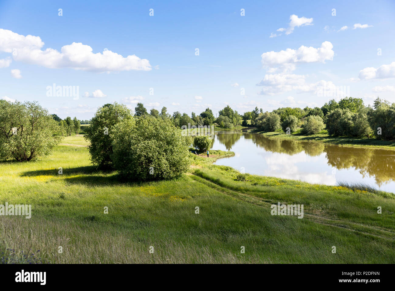 Meadow with flood plains, Family bicycle tour along the river Elbe, adventure, from Torgau to Riesa, Saxony, Germany, Europe Stock Photo