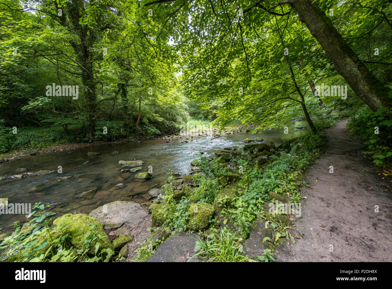 Bedlington Country Park, Bedlington, Northumberland, England Stock Photo Alamy