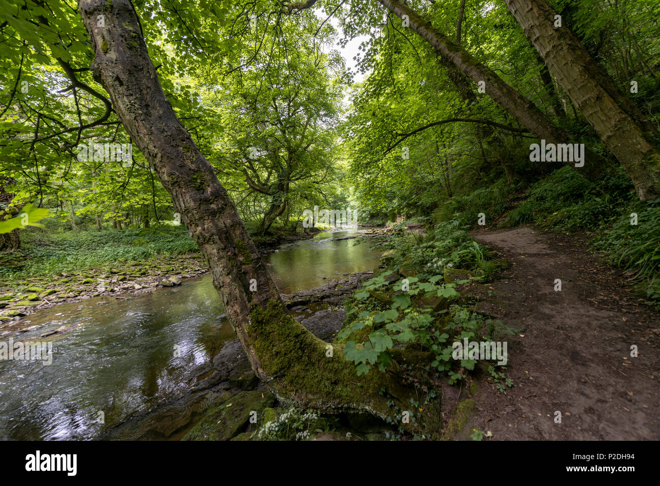 Bedlington Country Park, Bedlington, Northumberland, England Stock Photo Alamy