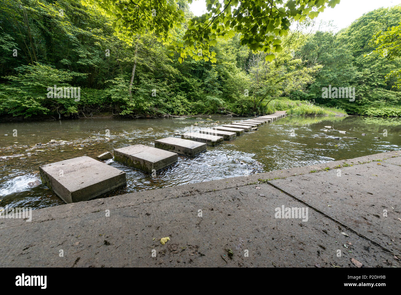 Bedlington Country Park, Bedlington, Northumberland, England Stock