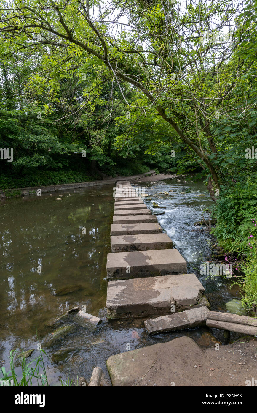 Bedlington Country Park, Bedlington, Northumberland, England Stock