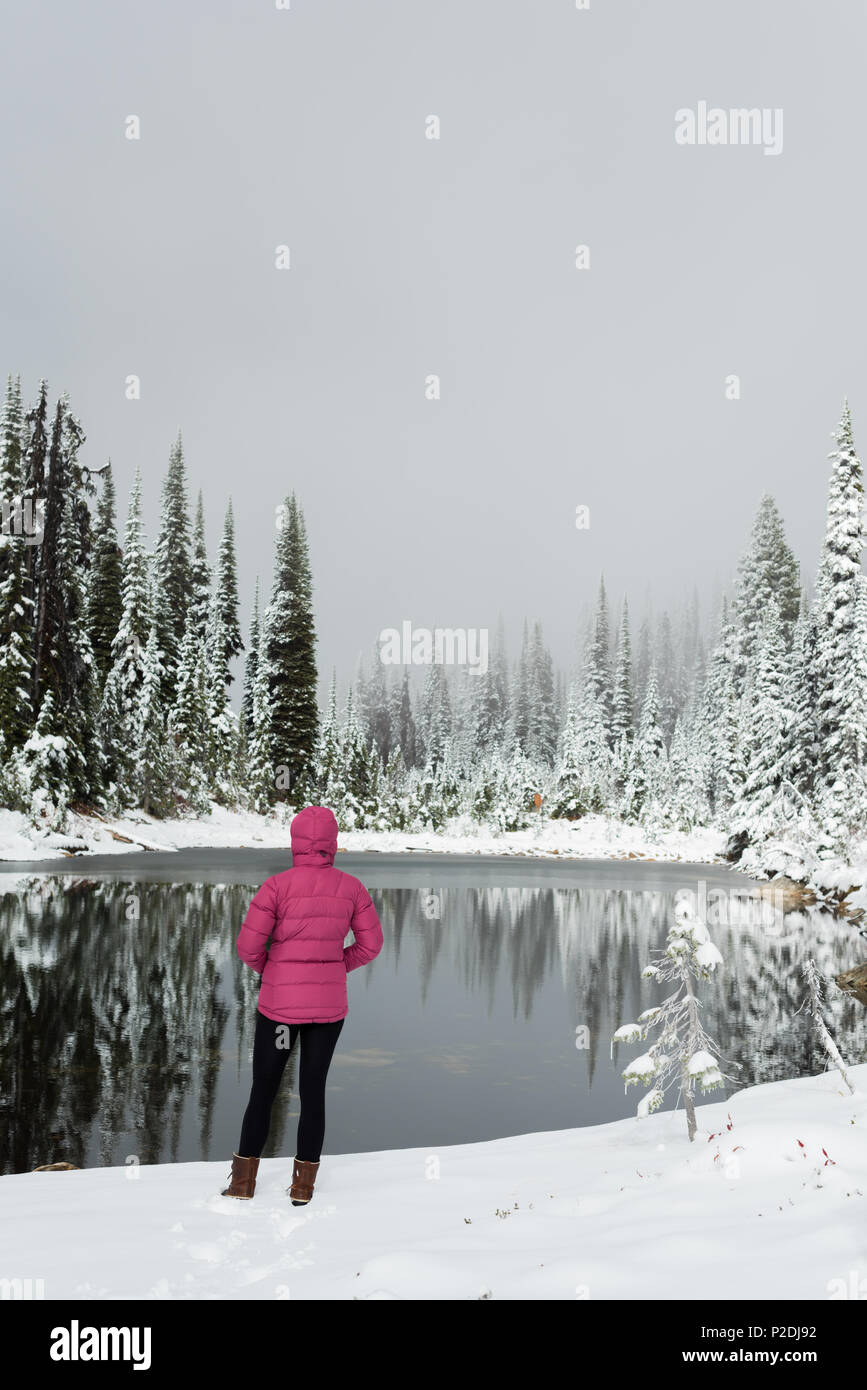 Rear view of thoughtful woman standing near lake Stock Photo