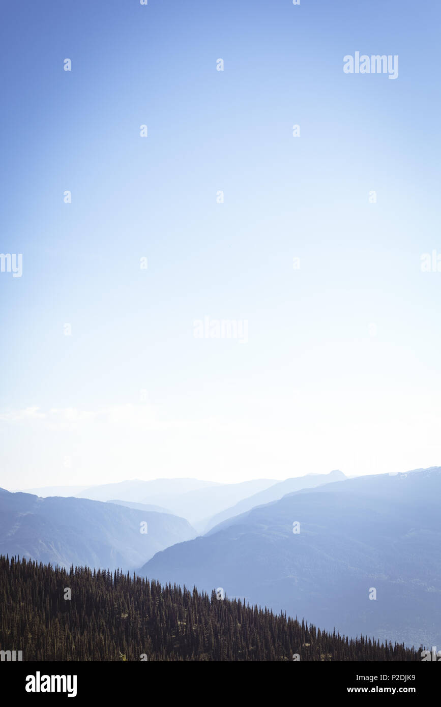 Dense Cover High Resolution Stock Photography and Images - Alamy