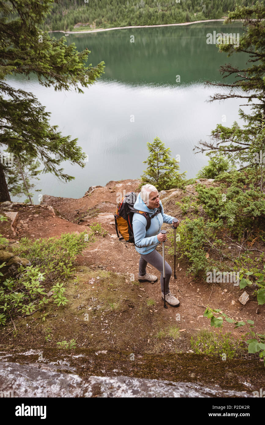 Mature woman walking forest hi-res stock photography and images - Alamy