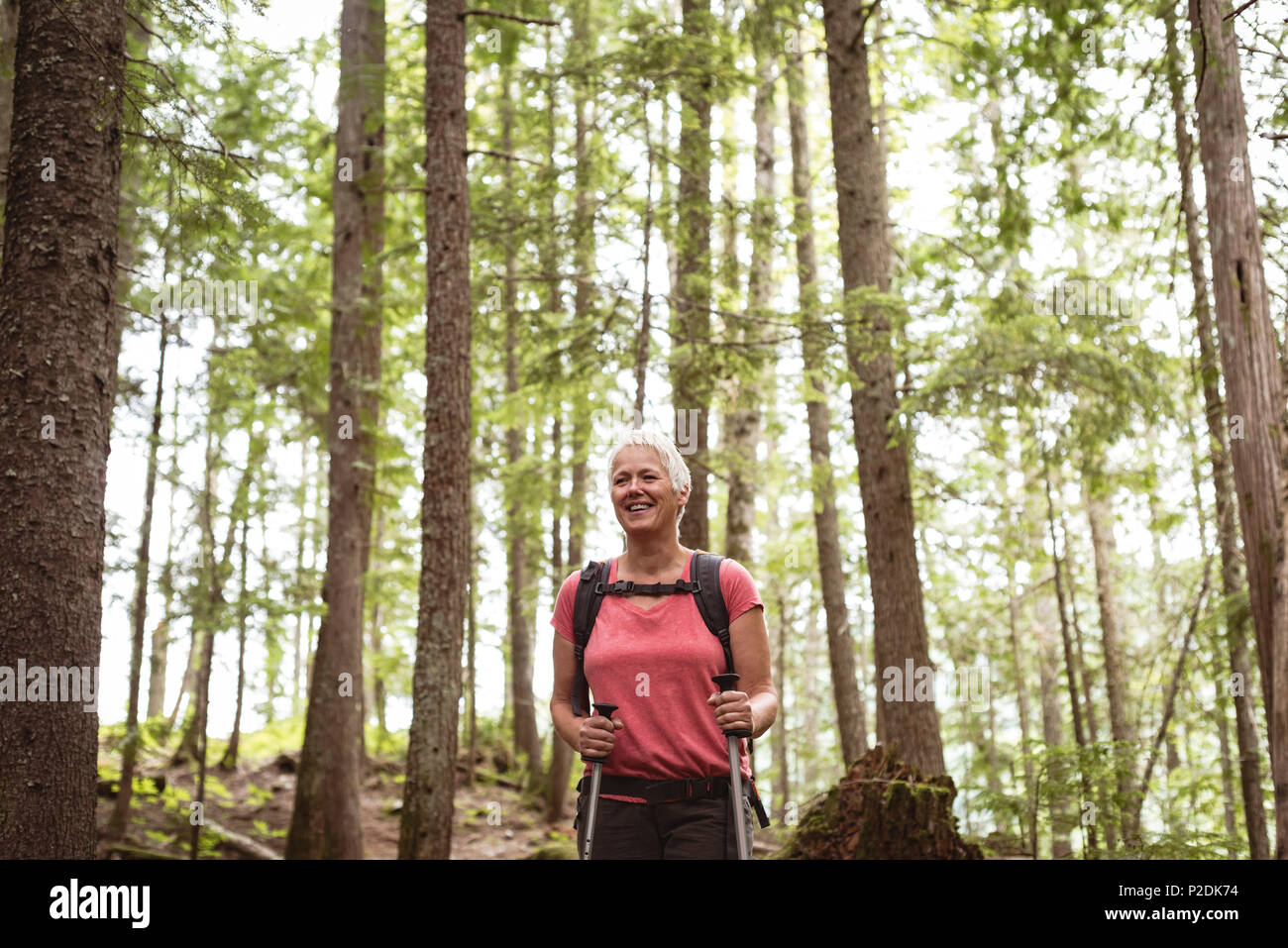 Woman with hiking poles hi-res stock photography and images - Alamy