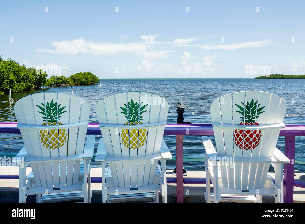 Florida,FL South,Upper Key Largo Florida Keys,Snappers Ocean waterfront