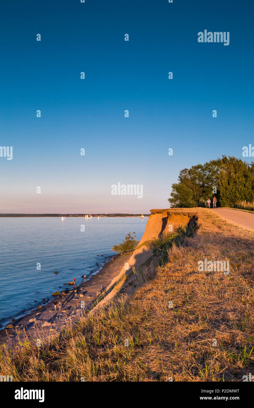 Cliff in the evening light, Brodtener Ufer, Niendorf, Baltic Coast, Schleswig-Holstein, Germany Stock Photo