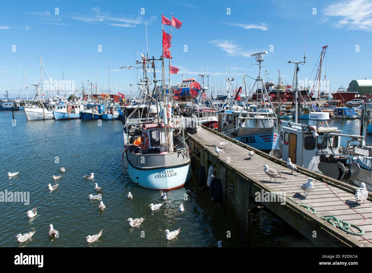 Denmark, Zealand, Gilleleje, Fishing Boats in the Harbour Stock Photo