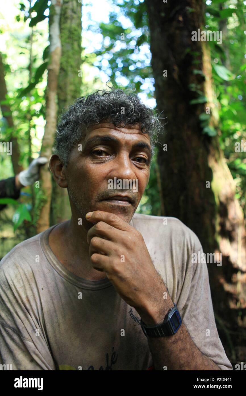 Cachaca bottles hires stock photography and images Alamy