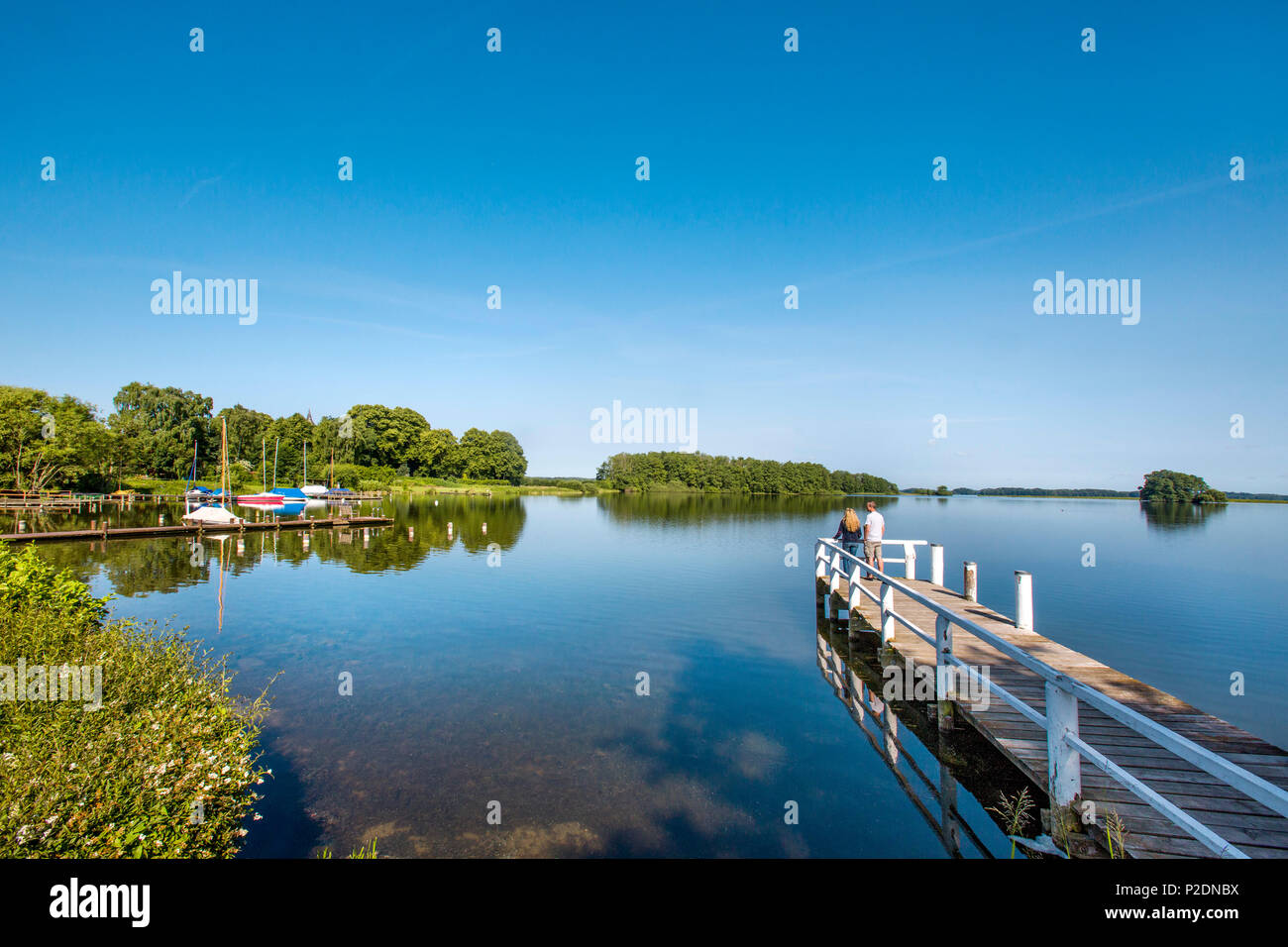Morning at lake Ploen, Bosau, Holstein Switzerland, Ostholstein, Schleswig-Holstein, Germany Stock Photo