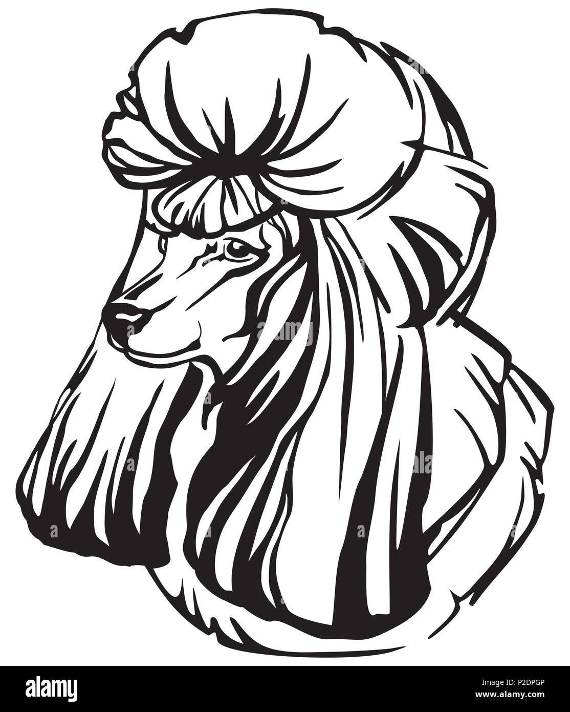 Decorative portrait in profile of dog Poodle, vector isolated ...