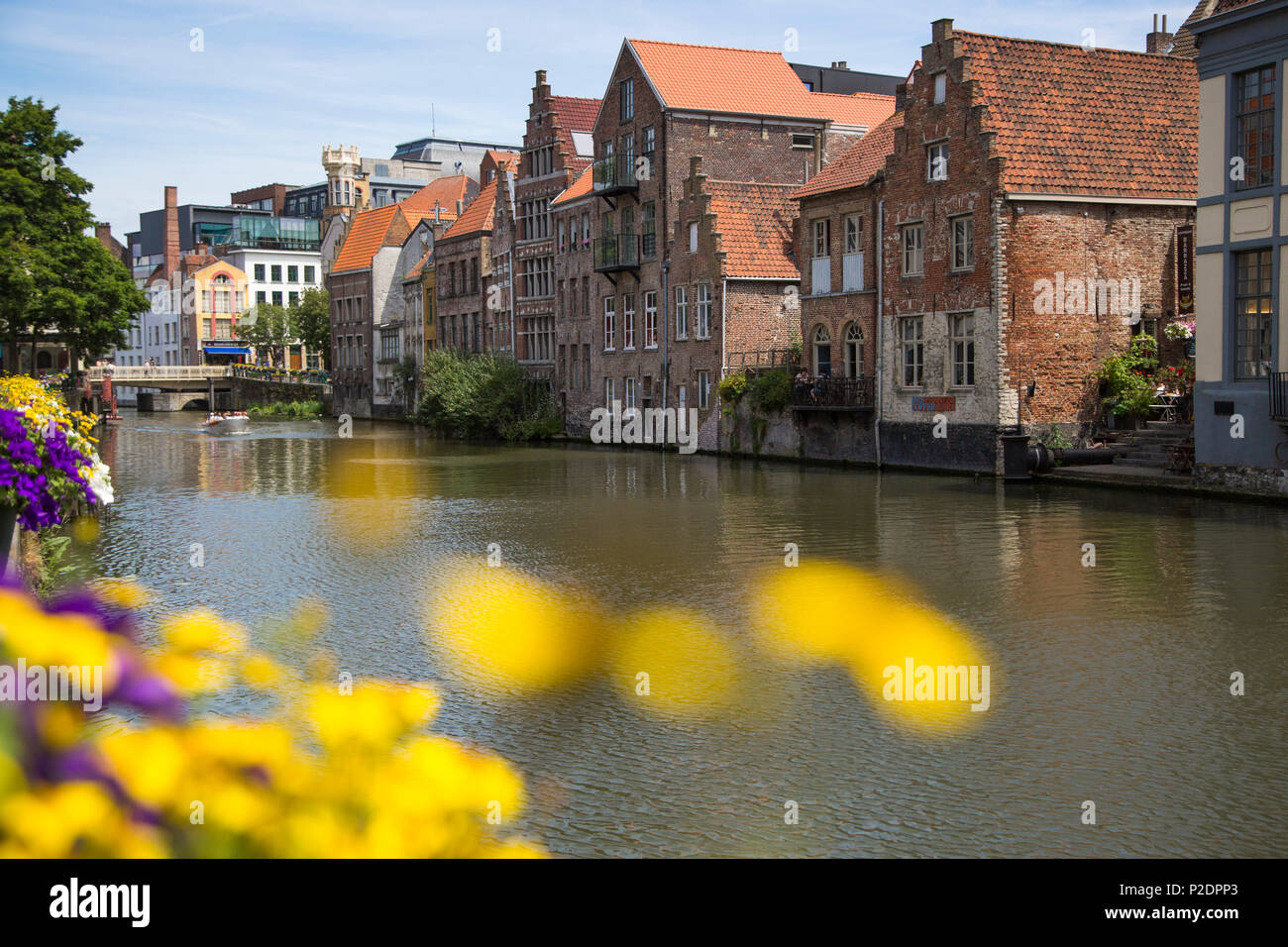 Sightseeing boat on the canal seen through flowers, Ghent, Flemish Region, Belgium Stock Photo