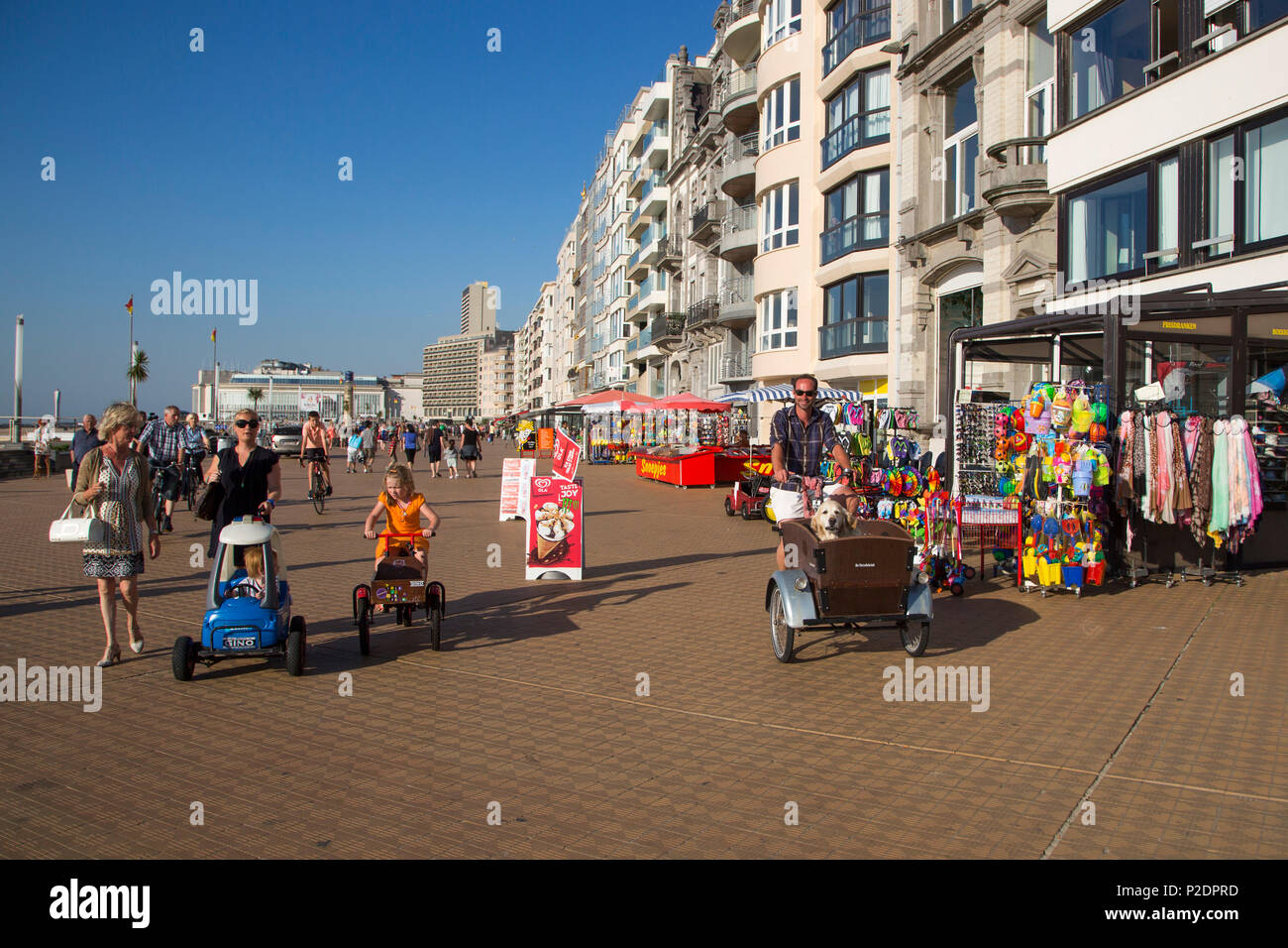 Man on bicycle with cart and Golden Retriever dog in it on the beach promenade, Ostend, Flanders, Flemish Region, Belgium Stock Photo