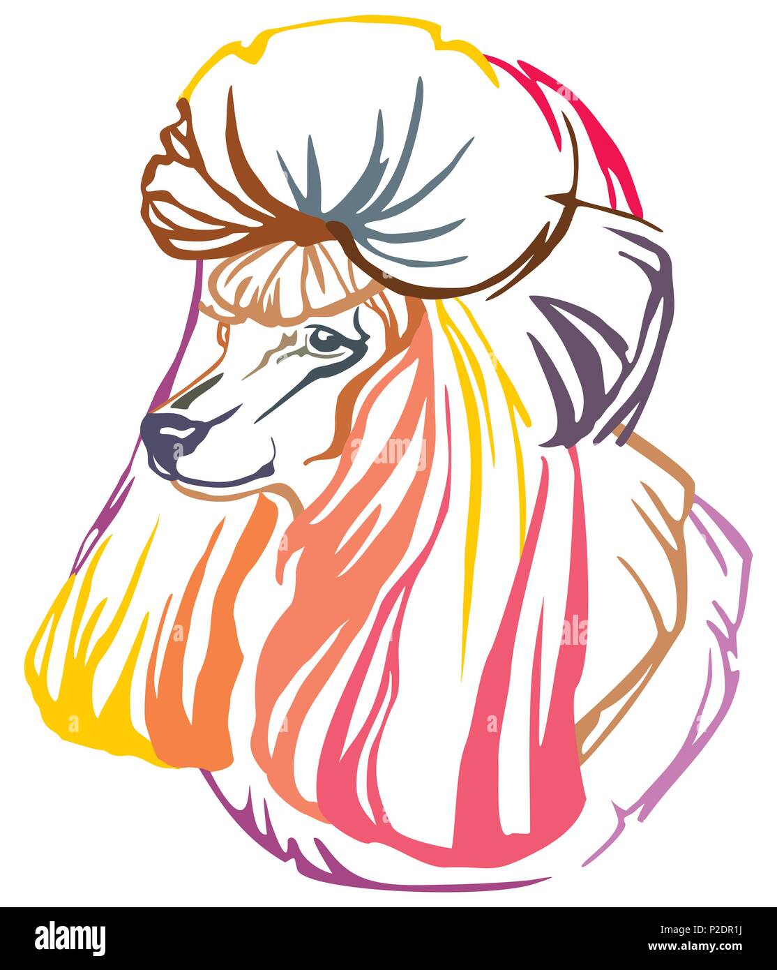 Colorful decorative portrait in profile of dog Poodle, vector ...