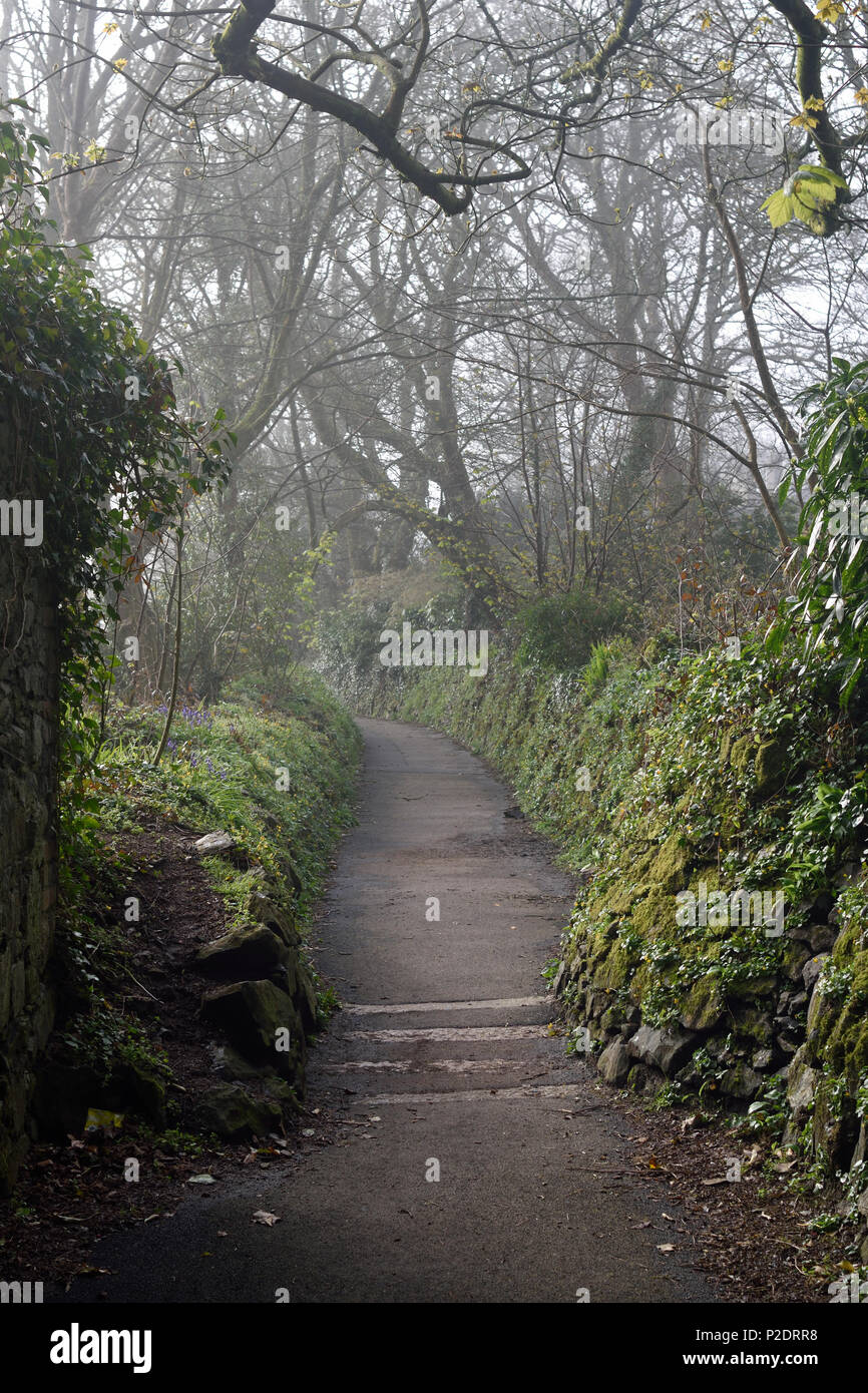 Lovers Lane, Redruth, Cornwall Stock Photo Alamy