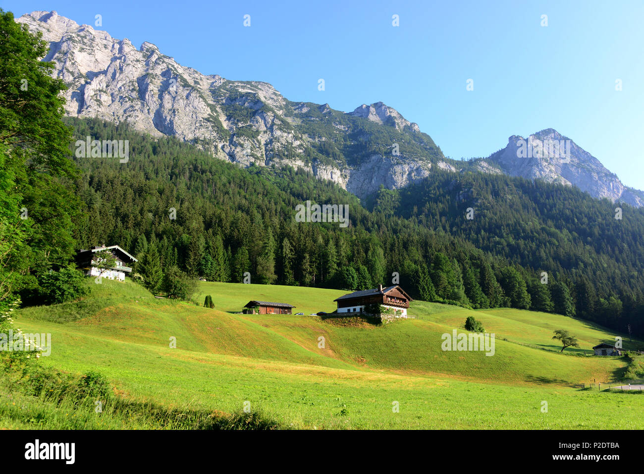 Klausbach valley in the National park, Ramsau, Berchtesgaden, Upper Bavaria, Bavaria, Germany Stock Photo