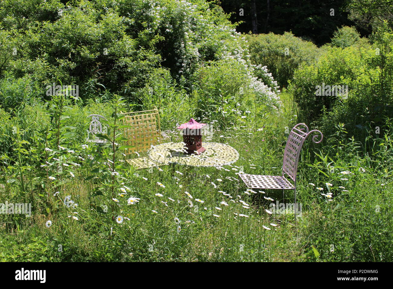 Mid afternoon table for two in a summer field of daisies with table and two French chairs Stock Photo