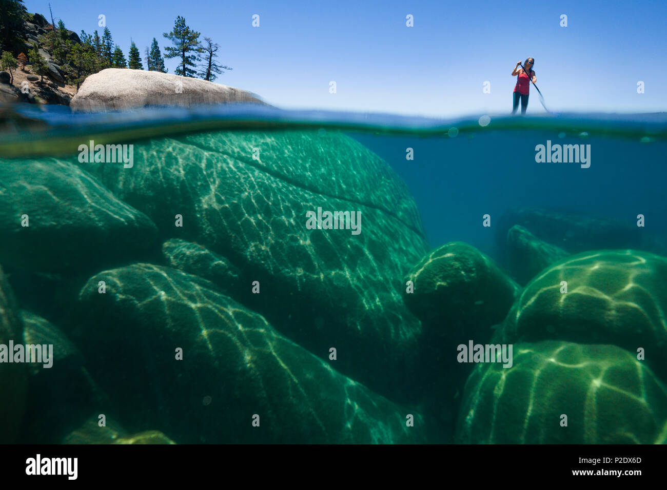Woman doing stand up paddleboarding in the crystal blue waters of Lake Tahoe, Nevada shot half underwater and half above. Stock Photo