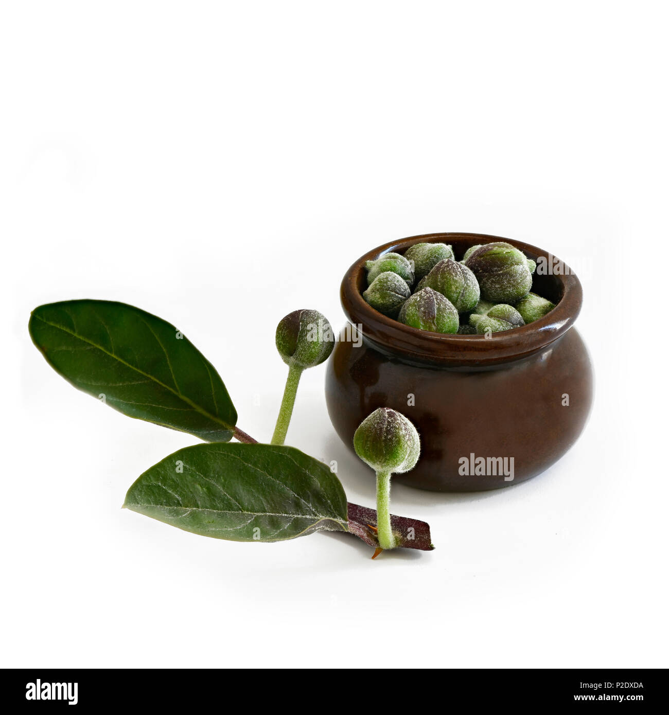 Green capers hi-res stock photography and images - Alamy