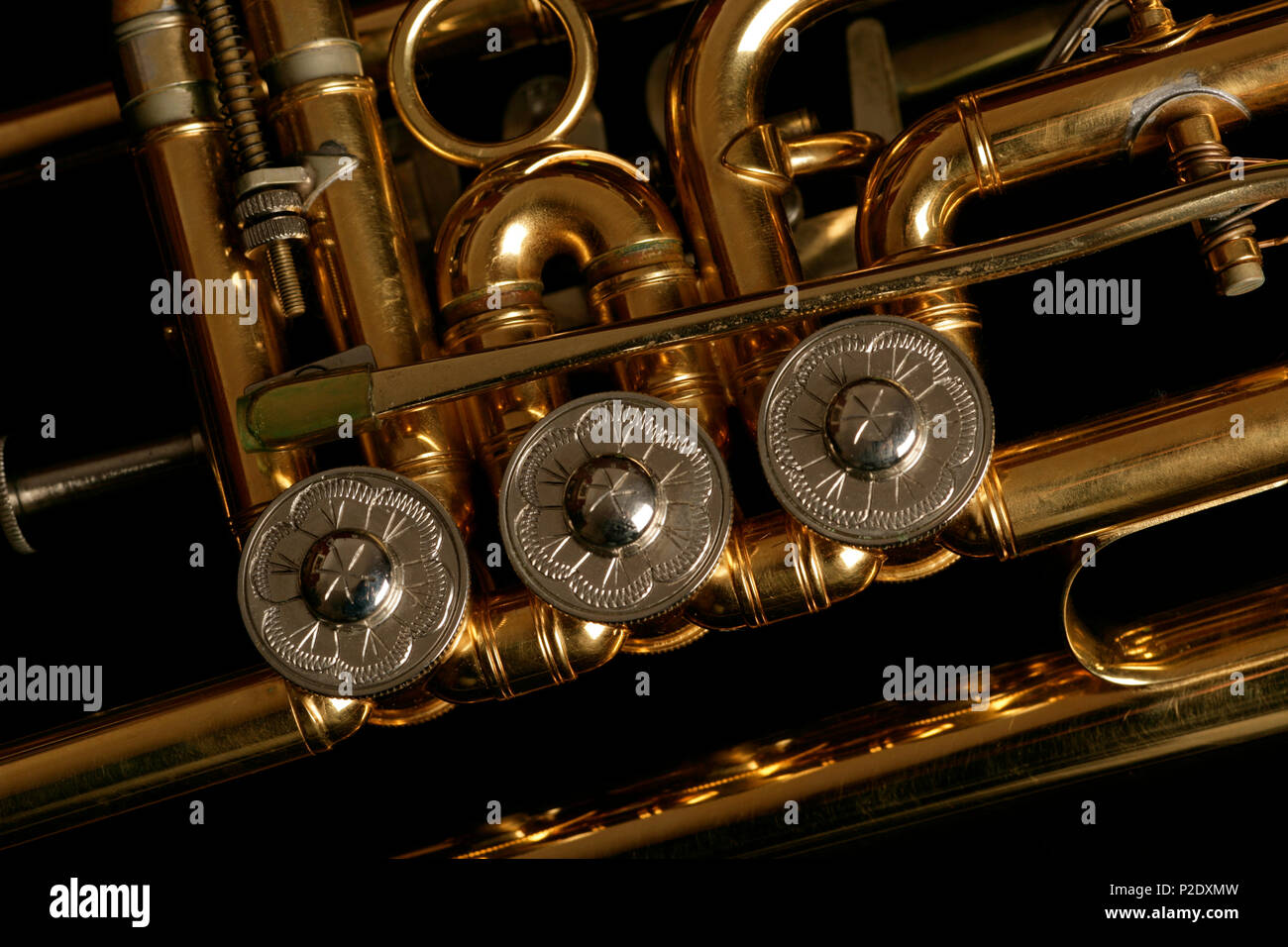 the valve covers of a rotaryvalved trumpet Stock Photo Alamy