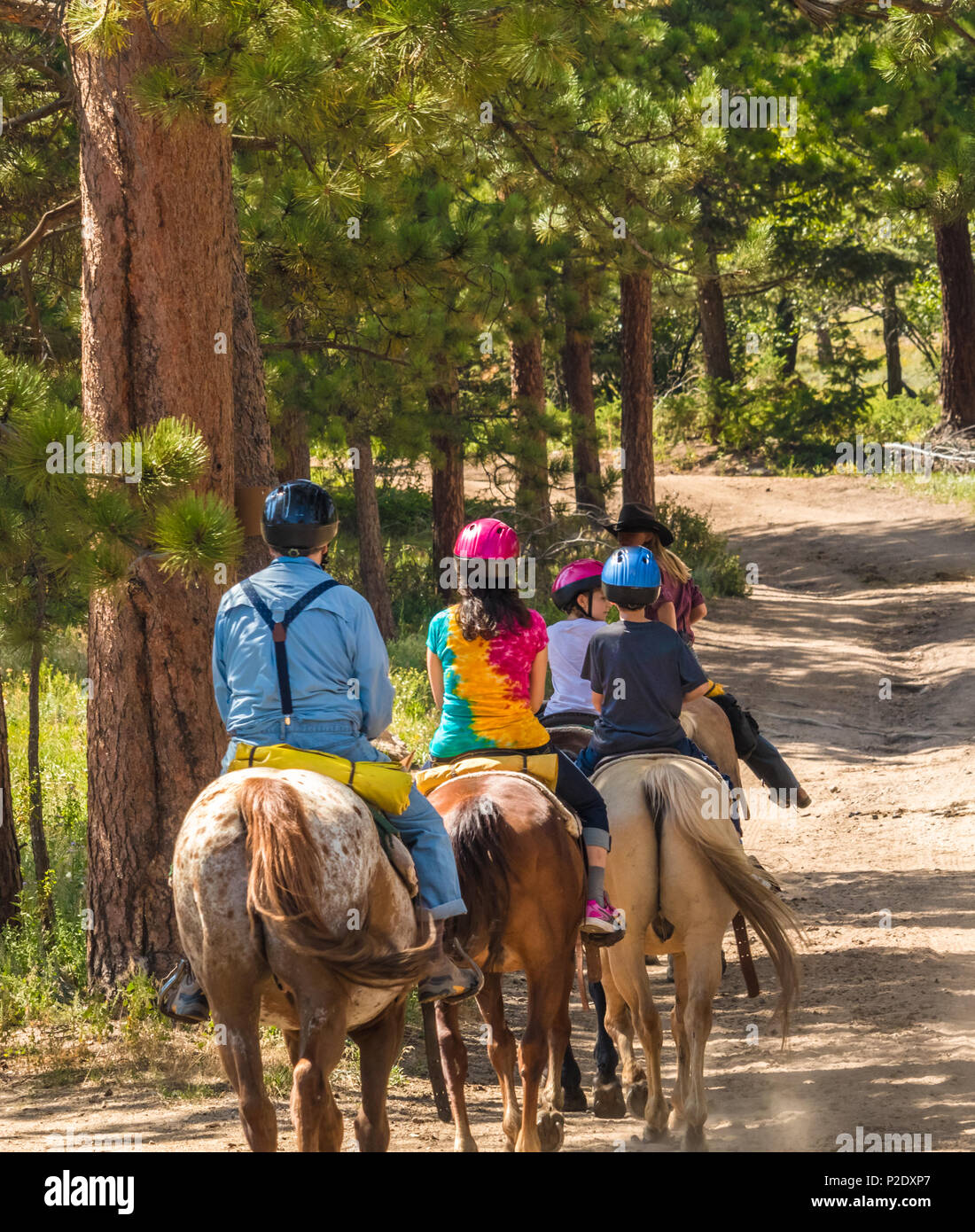 Family of four riding horses in woods in Colorado, USA Stock Photo