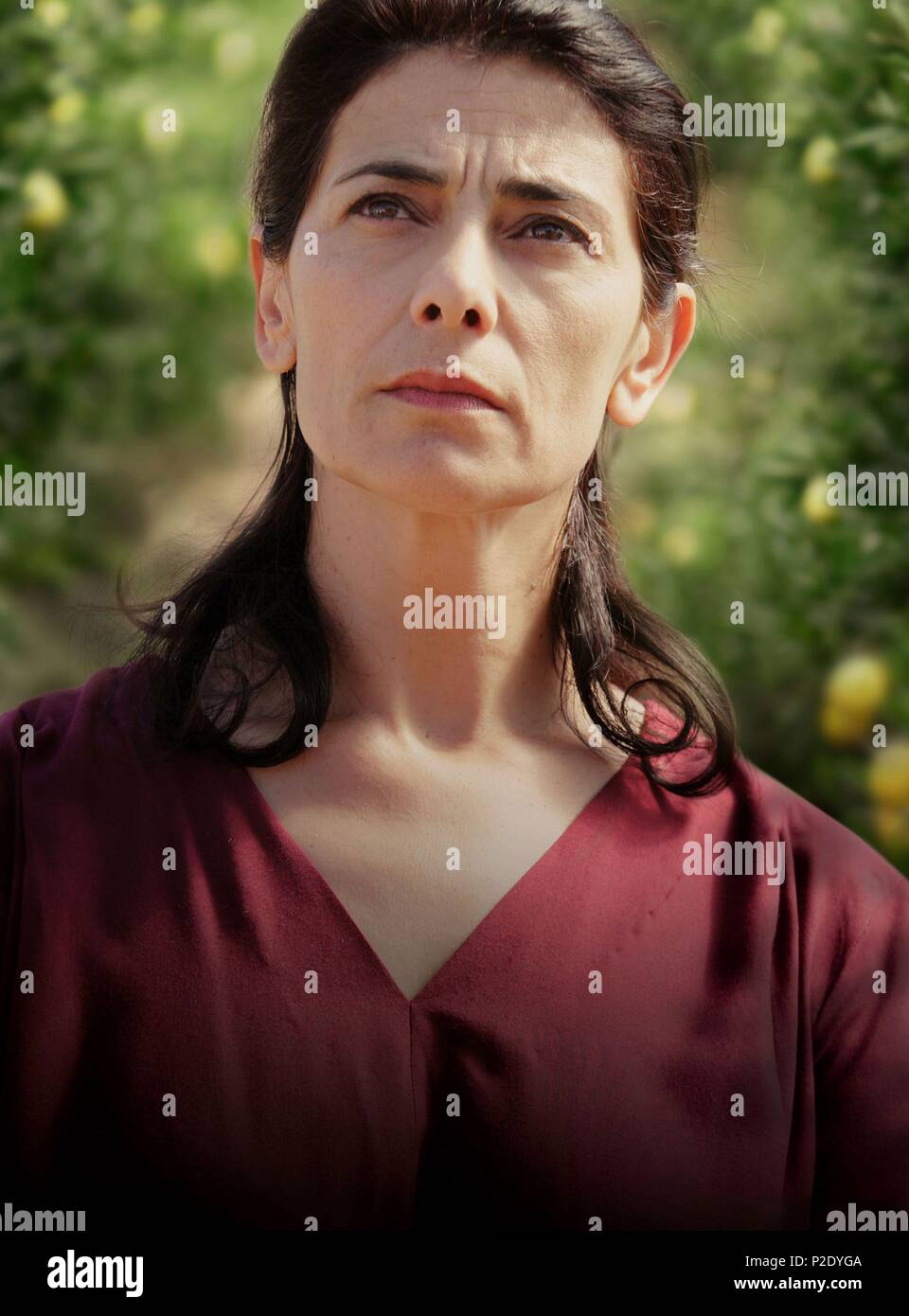 Original Film Title LEMON TREE. English Title LEMON TREE. Film