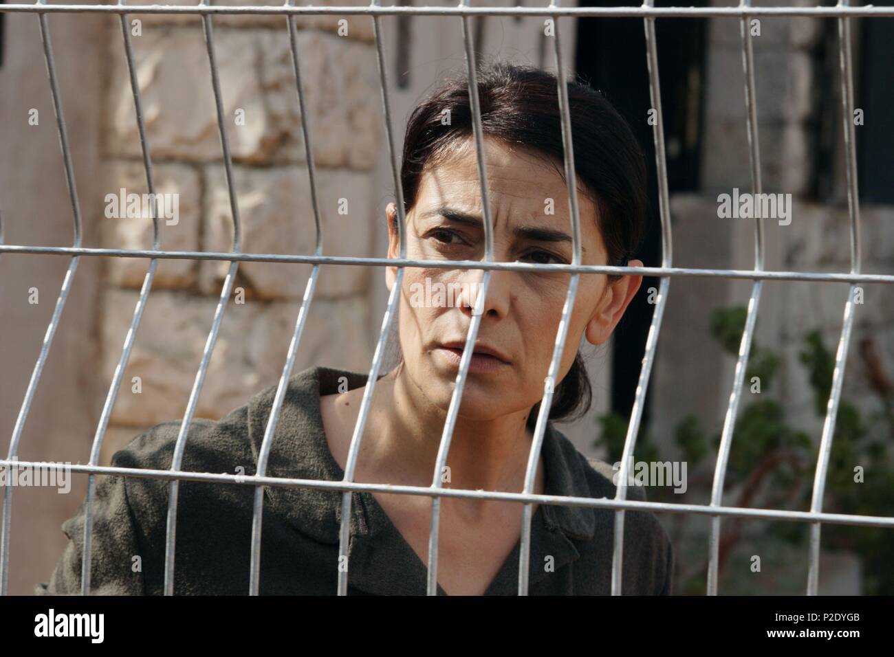 Original Film Title LEMON TREE. English Title LEMON TREE. Film