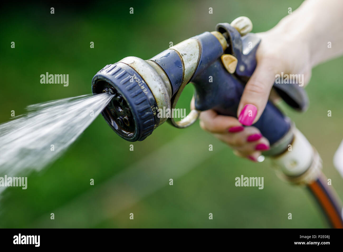 Watering garden flowers with hose Stock Photo Alamy