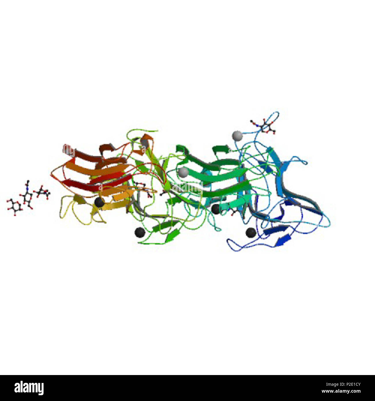 . Crystal structure of two repeat fragment of reelin . 8 November 2006. Yasui, N., Nogi, T., Kitao, T., Takagi, J. 45 Reelin protein two repeats structure Stock Photo