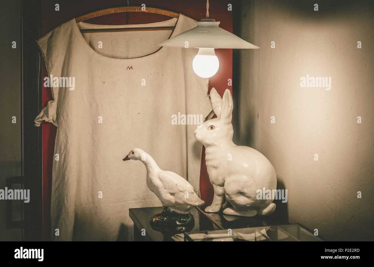 still life of shirt, rabbit, bunny and a lamp on a fridge Stock Photo ...
