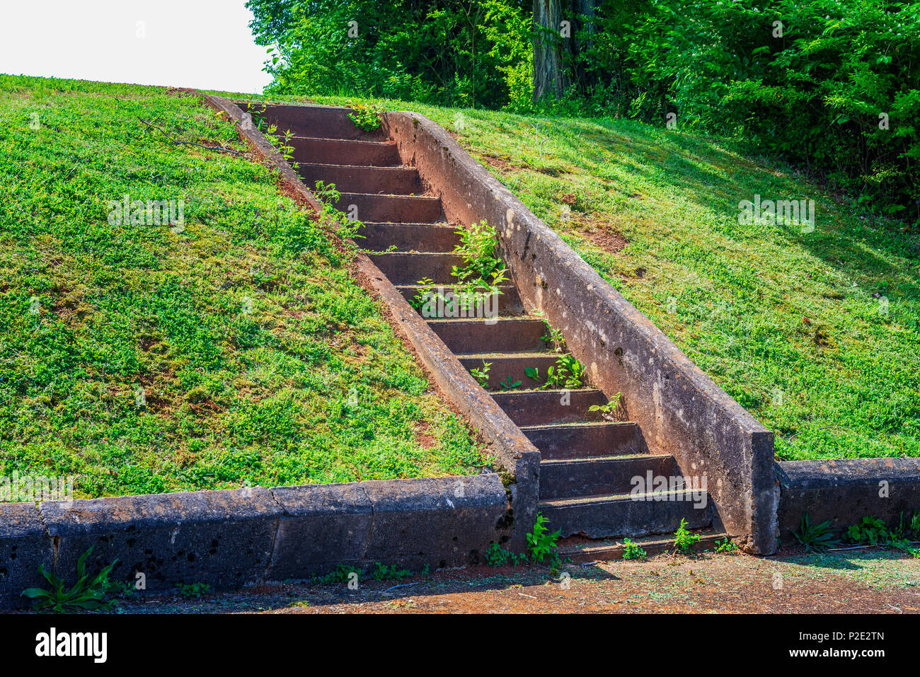 Old concrete steps going up a green grassy hill. Stock Photo