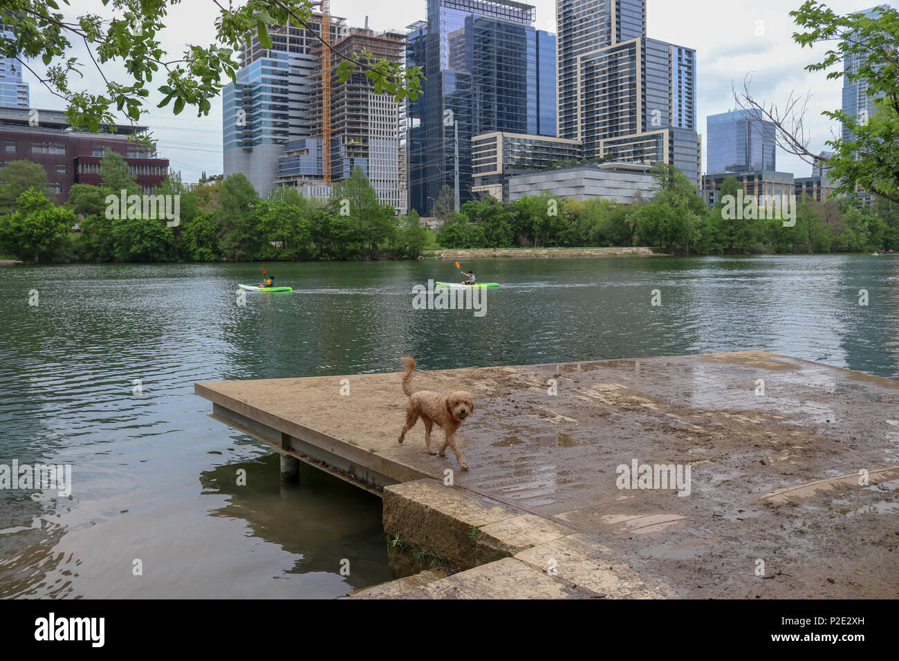 Zilker park dock austin hires stock photography and images Alamy