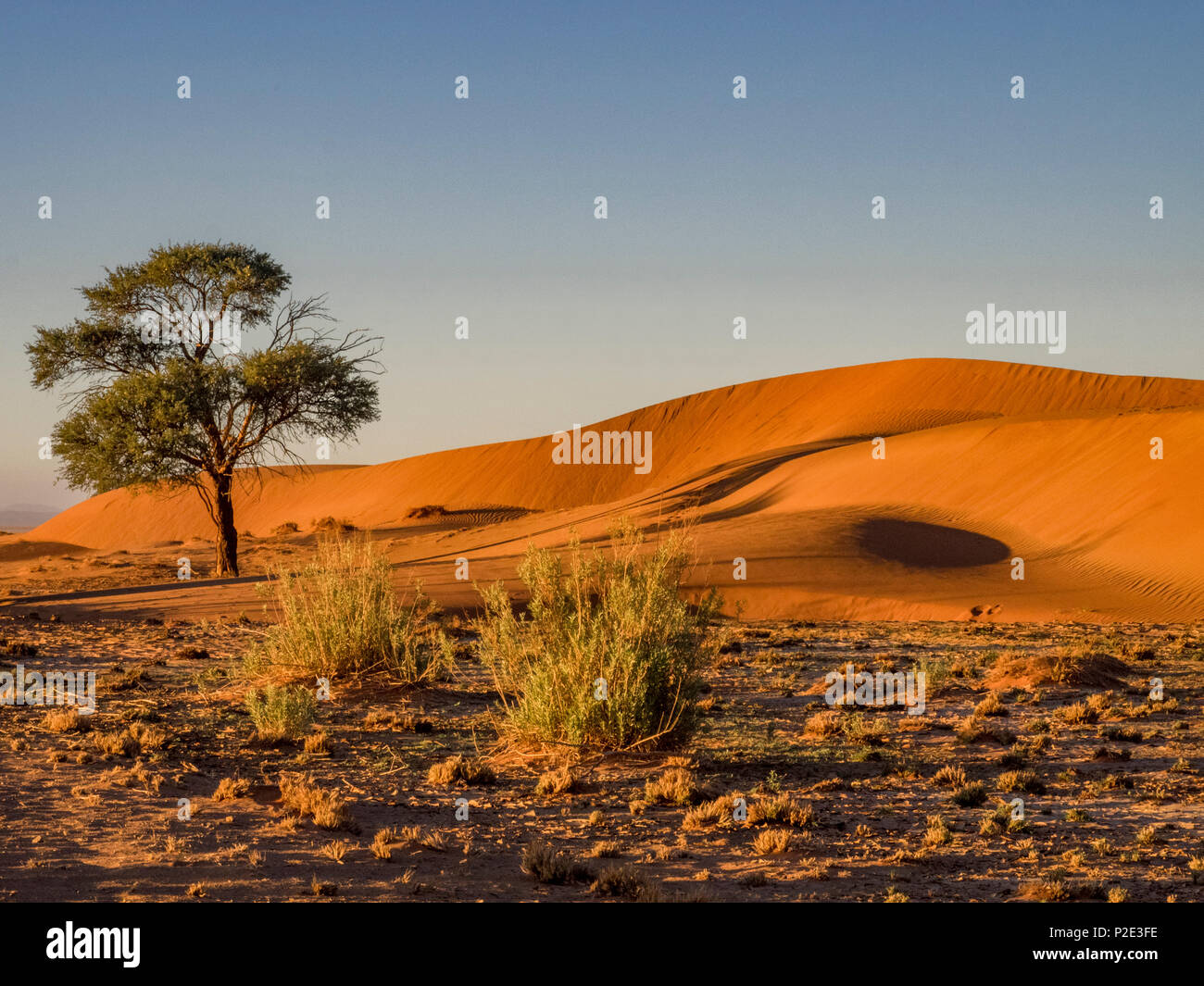 Red Fall Desert The vast red desert at dawn Stock Photo - Alamy