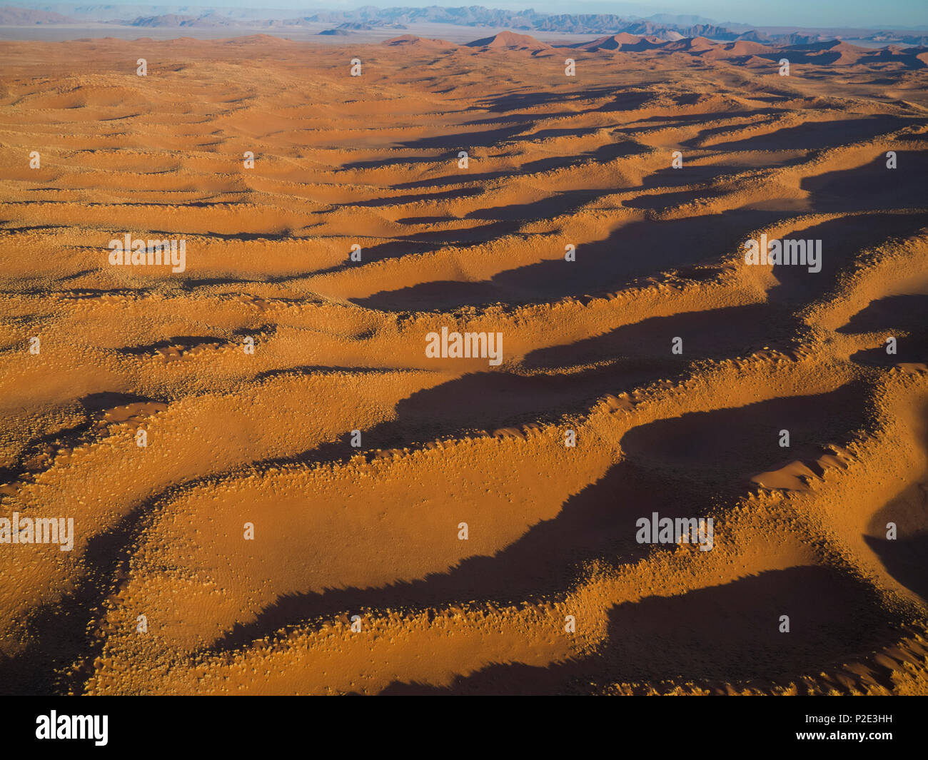 Undulating dunes as far as you can see Stock Photo