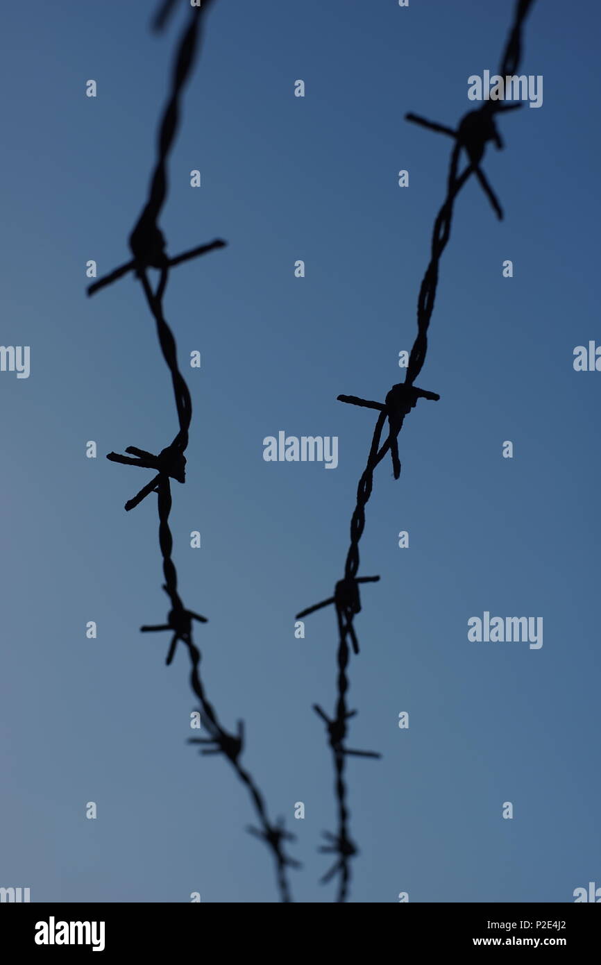 barbed wire on blue sky background Stock Photo