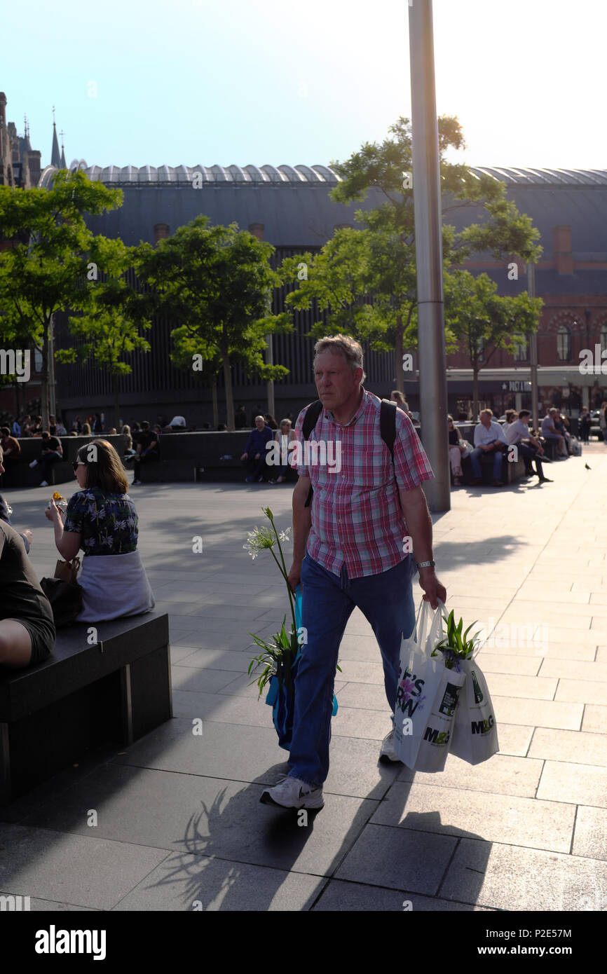 Man carrying bags full of plants acros concourse of Kings Cross Station, London, England, UK Stock Photo