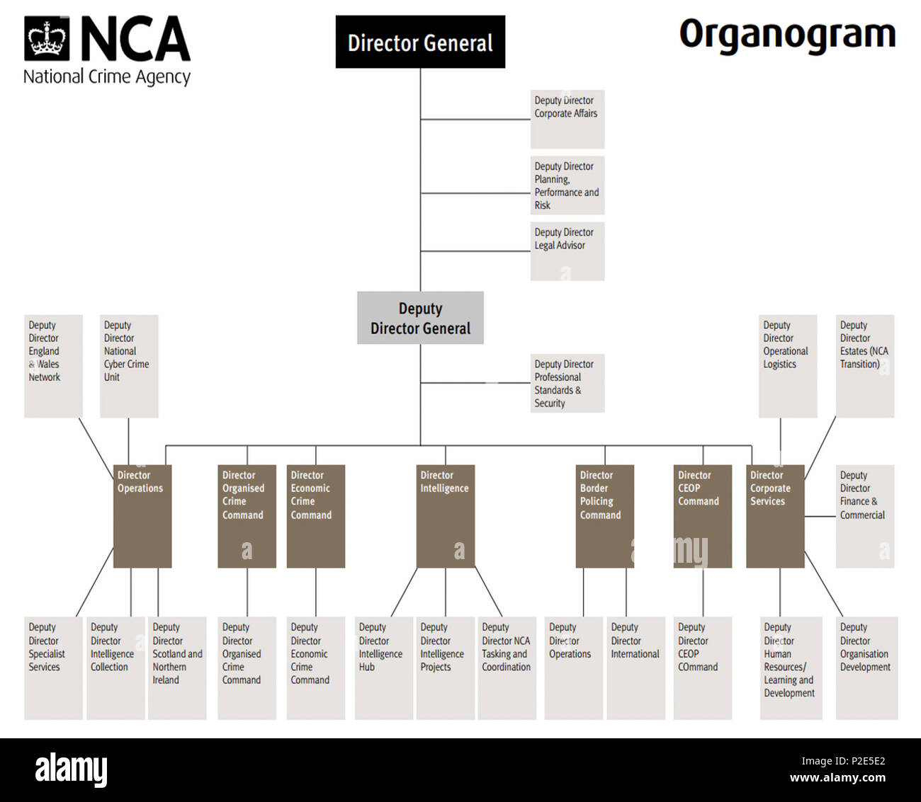 Director Of National Intelligence Organization Chart